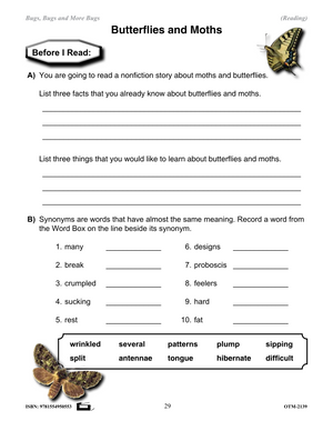 Reading Information Stories and Worksheets on Insects Grades 2-3