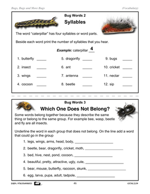 Insects Vocabulary Worksheets Grades 2-3