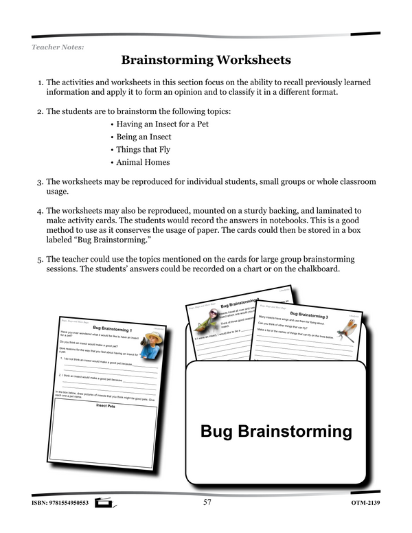 Insects Brainstorming Worksheets Grades 2-3