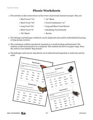 Insects Phonics Worksheets Grades 2-3