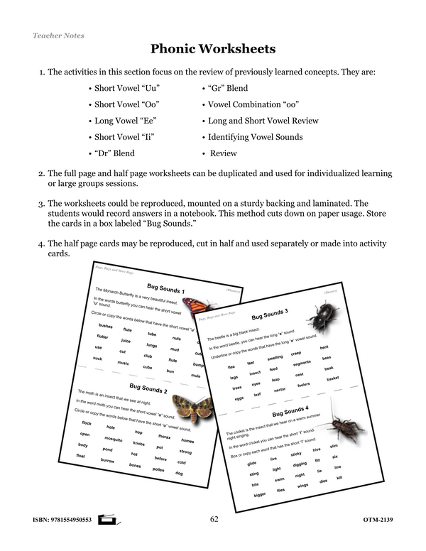 Insects Phonics Worksheets Grades 2-3