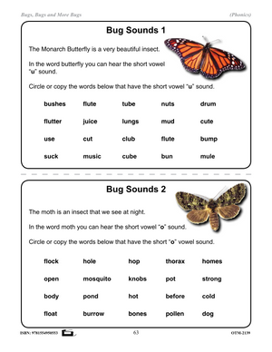 Insects Phonics Worksheets Grades 2-3