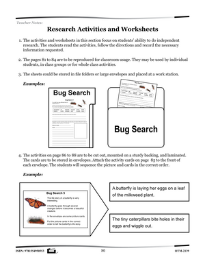 Insects Research Activities and Worksheets Grades 2-3