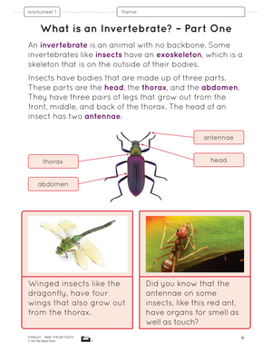 Life Science Grade 2: Animal Growth & Changes Ontario 2022 Science Curriculum