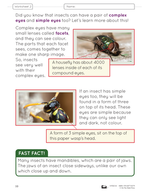 Life Science Grade 2: Animal Growth & Changes Ontario 2022 Science Curriculum