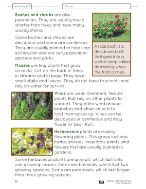 Growth & Changes in Plants; and Animal Life Cycles: Life Science Grade 3