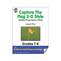 Capture The Flag 3-D Style Gr. 7-8 E-Lesson Plan