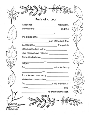 Leaves Grades 2-3