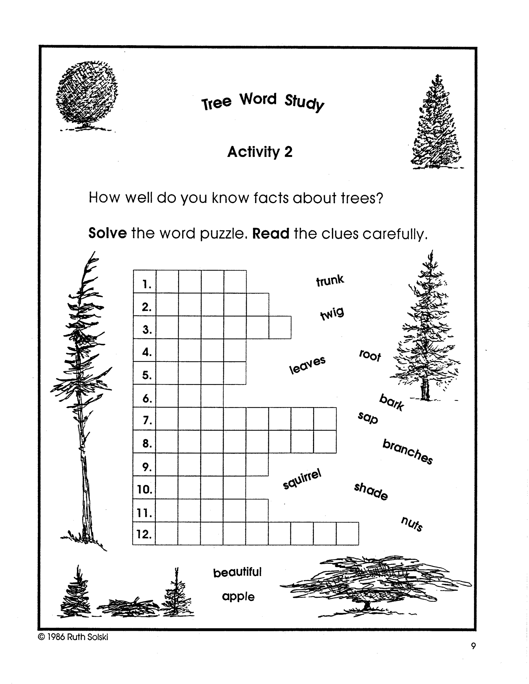 Trees For Grade R Trees Grades 2-3
