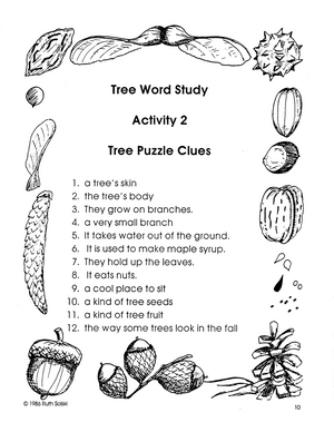 Trees Grades 2-3