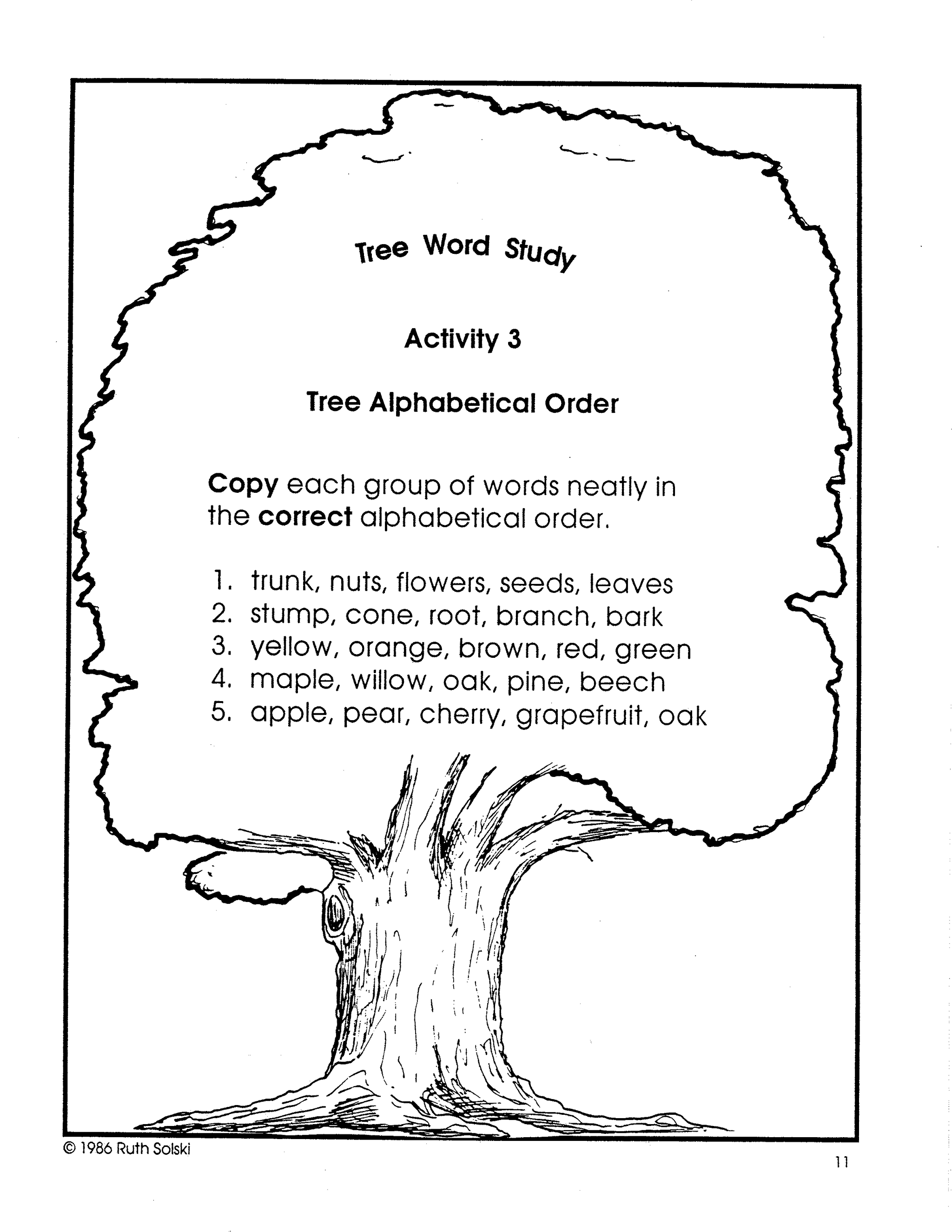 Trees For Grade R Trees Grades 2-3
