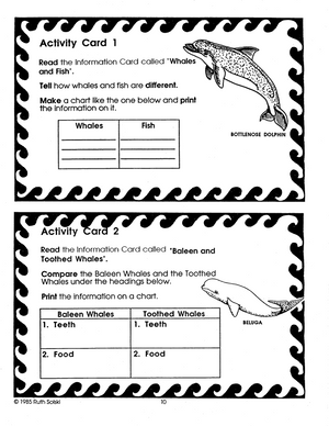 All About Whales Grades 3-4
