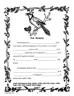 Winter Birds Grades 2-3