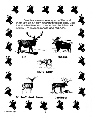 Deer Grades 3-5