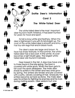 Deer Grades 3-5