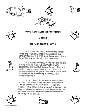 Opossums Grades 3-5
