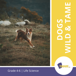 Dogs - Wild & Tame Grades 4-6