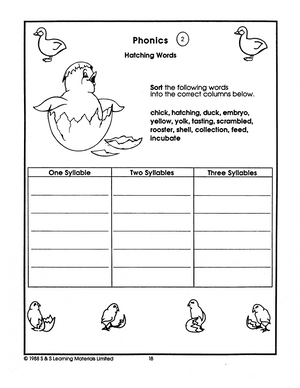 Chicks 'n Ducks Grades 2-4