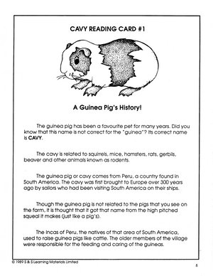 Guinea Pigs and Friends Grade 3-5