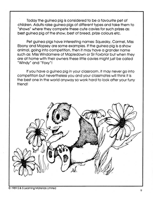 Guinea Pigs and Friends Grade 3-5
