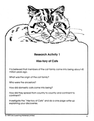 Cats - Domestic & Wild Grade 4-6