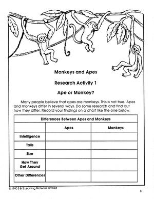 Monkeys and Apes Grades 4-6