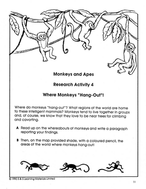 Monkeys and Apes Grades 4-6