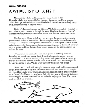 Whale Preservation Grades 5-9