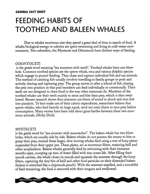 Whale Preservation Grades 5-9