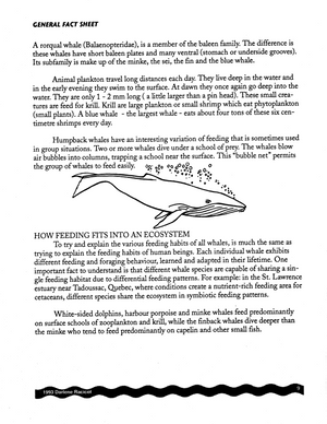 Whale Preservation Grades 5-9