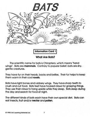 Bats Grades 4-6