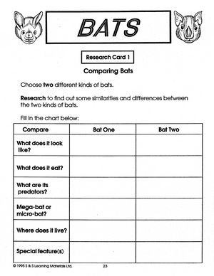 Bats Grades 4-6