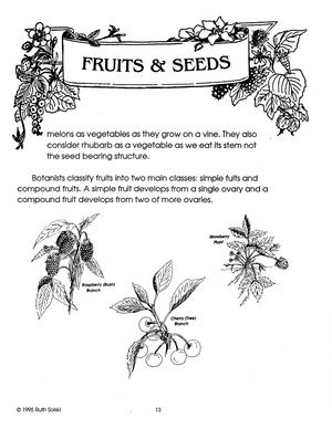 Fruits and Seeds Grades 4-6