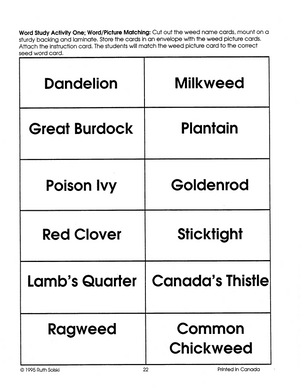 Seeds and Weeds Grades 2-3