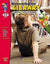 Discovering the Library Grades 2-3