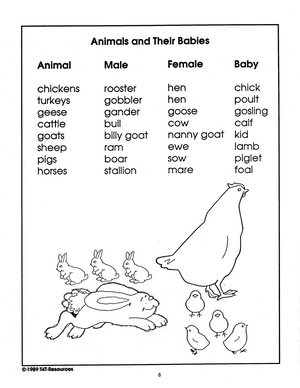 Spring - An Integrated Theme Unit Grades 2-3